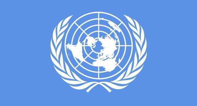 上海迎來中國首個聯合國二類機構，軟件教育創新引發世界關注