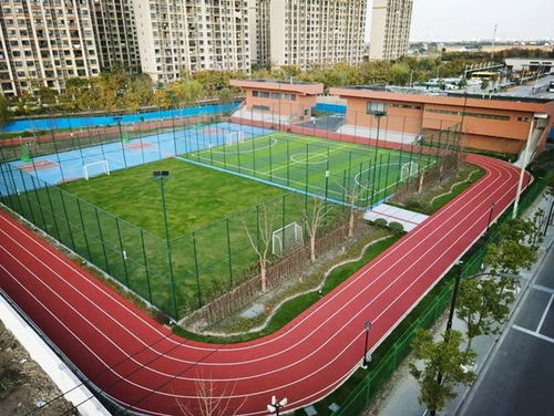 匯聚體育力量，共筑健康青浦——青浦區(qū)全民健身體育組織年度工作盤(pán)點(diǎn)